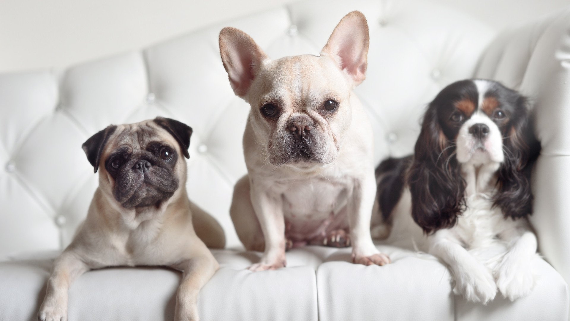 华体会体育-欧文独舞，当众星暗哑，唯有他一人是光